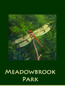meadowbrook1